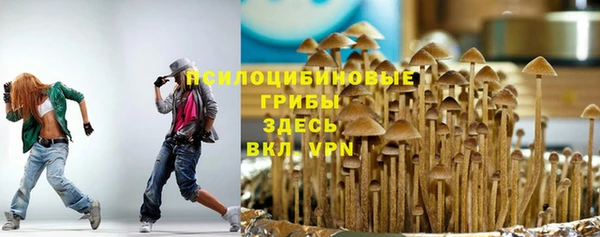 мескалин Балахна